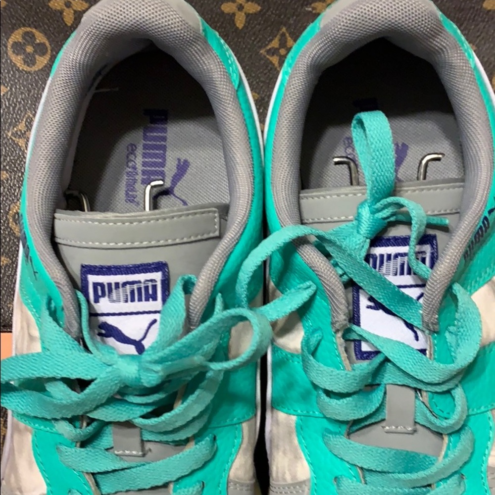 Puma R-System